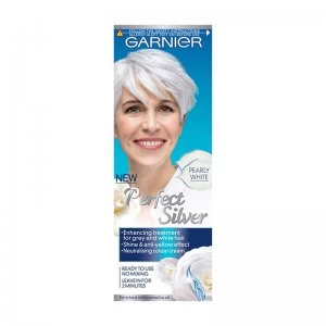 Garnier Perfect Silver Neutralising Cream