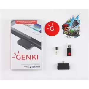 Genki HTGA-GRAY-EU cable gender changer USB-C Bluetooth/USB-C Black Grey