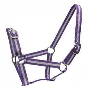 Roma Headcollar and Lead Rope Set - Purple/Silver