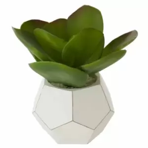 Interiors by PH Faux Mixed Succulents in Faceted Pot, none