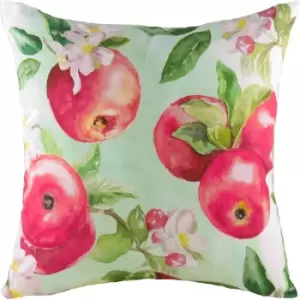 Evans Lichfield Fruit Apple Cushion Cover (One Size) (Green/Red)