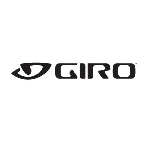 GIRO Air Attack Eye Shield Silver