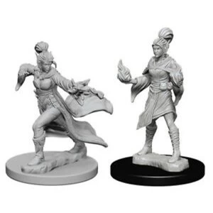 Pathfinder Deep Cuts Unpainted Miniatures (W1) Elf Female Sorcerer