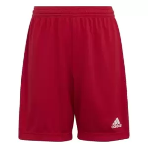 adidas ENT22 Shorts Juniors - Red