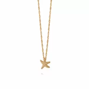 Daisy London Jewellery 18ct Gold Plated Sterling Silver Isla Starfish Chain Necklace 18Ct Gold Plate