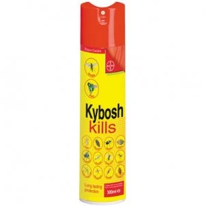 Bayer Kybosh Kills Insecticide - 300ml