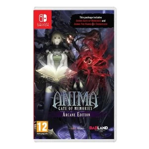 Anima Gate of Memories Nintendo Switch Game