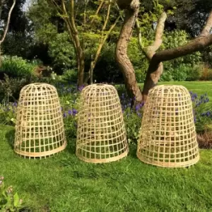 Gardenskill - Bamboo Bell Cloche - Small (pack of 3)