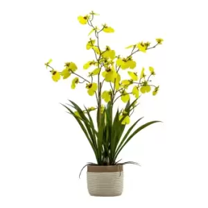 Gallery Interiors Begbie Potted Oncidium Orchid Yellow / Large