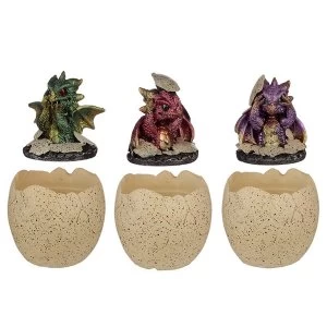 Hatching Elements Dragon Egg Trinket Box (1 Random Supplied)