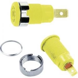 Safety jack socket Socket build in Yellow Staeubli