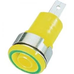 Safety jack socket Socket build in Green yellow Staeubli