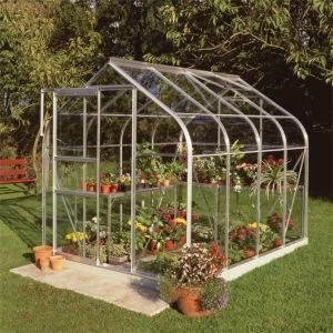 BQ Metal 6x8 Horticultural glass greenhouse