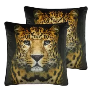 Paoletti Cheetah Portrait Twin Pack Polyester Filled Cushions Black