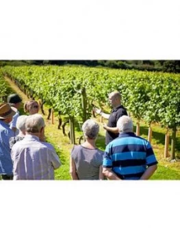 Virgin Experience Days One Night Kent Countryside Break With Vineyard Tour And Wine Tasting At Chapel Down Winery For Two