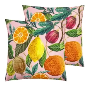 Citrus Outdoor Twin Pack Cushion Multi