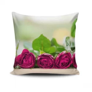 NKLF-246 Multicolor Cushion Cover