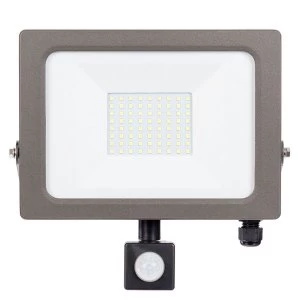 Status Natural Grey PIR LED FLood Light - 30W