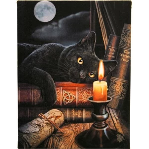 Small Witching Hour Canvas Picture By Lisa Parker