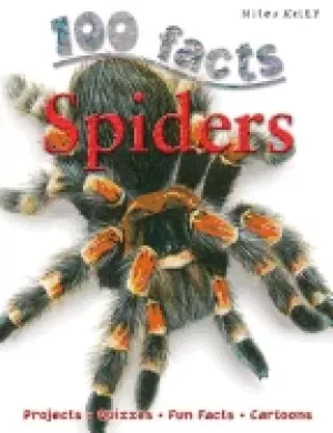 100 facts spiders venomous animals educational projects fun activities quiz