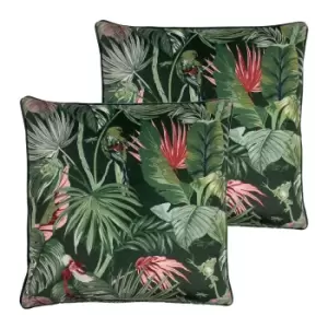 Amazon Creatures Velvet Twin Pack Polyester Filled Cushions