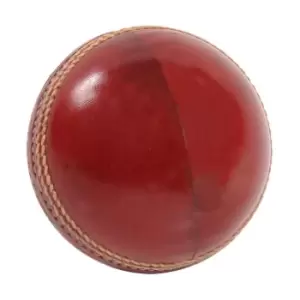 Aero Net Practice Cricket Ball - Red