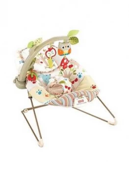 Fisher Price Woodsy Friends Comfy Time Bouncer