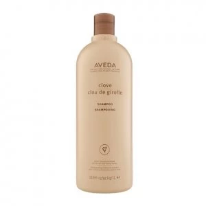 Aveda Color Enhance Clove Shampoo 1000ml