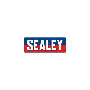 Sealey - SCW4100SPEM Heavy-Duty Nylon Swivel Castor Wheel Ø100mm - Trade