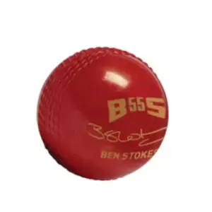 Gunn And Moore And Moore BS55 Trubounce Cricket Ball - Red