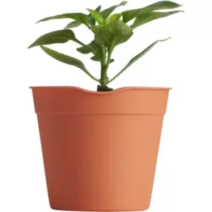 Clever Pots Mini Easy Release Pots 5 Pack - wilko - Garden & Outdoor