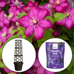 YouGarden Patio Clematis Kit