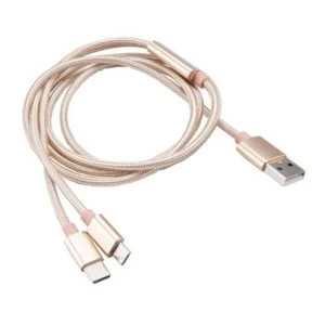 Akasa 2-in-1 USB 2.0 Type-A to Micro-B / Type-C cable 1.2m Braided, Gold