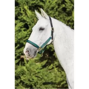 Kincade Deluxe Webbed Headcollar with Leather Crown - Green