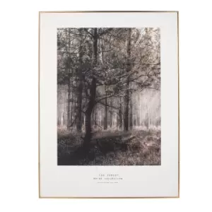 Forest 60x80cm Large Monochrome Framed Wall Art Gold