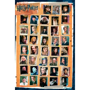 Harry Potter 7 Characters Maxi Poster