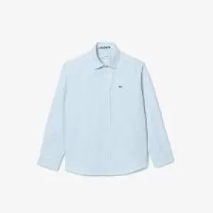 Kids' Lacoste Striped Print Oxford Cotton Shirt Size 6 yrs White / Blue