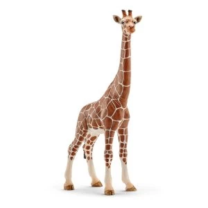 Schleich Wild Life - Female Giraffe Figure