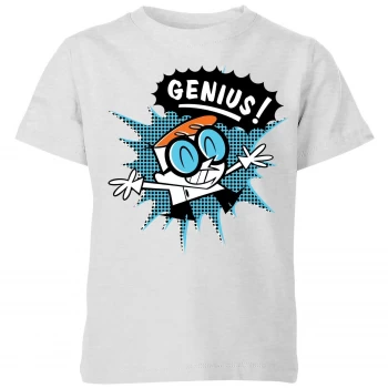 Dexters Lab Genius Kids T-Shirt - Grey - 9-10 Years
