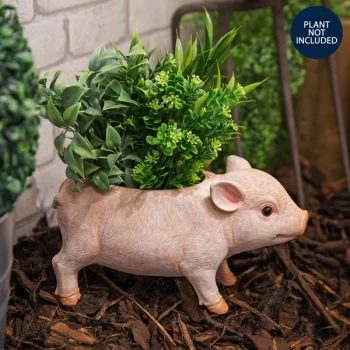 Naturecraft Collection - Pig Planter
