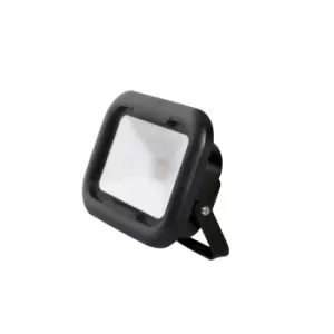 Robus Remy Black 10W LED Flood Light with Junction Box - Cool White