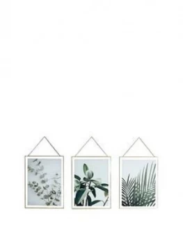 Arthouse Set 3 Botanical Framed Prints
