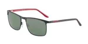 Jaguar Sunglasses 37575 Polarized 6100