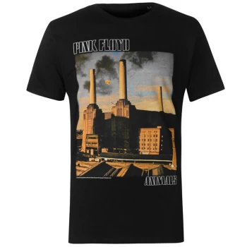 Official Pink Floyd Mens T Shirt - Multi