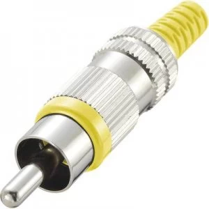 RCA connector Plug straight Number of pins 2 Yellow Conrad Components