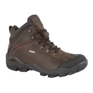 IMAC Womens/Ladies Waterproof Leather Hiking Boots (3 UK) (Brown)