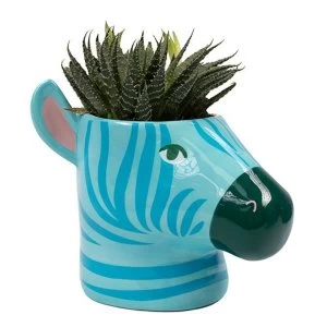 Zebra Plant Pot