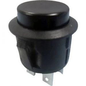 Pushbutton switch 250 V AC 6 A 2 x OnOff SCI R13