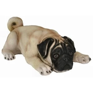 Best of Breed Collection - Pug