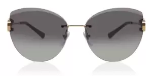Bvlgari Sunglasses BV6166B 20148G